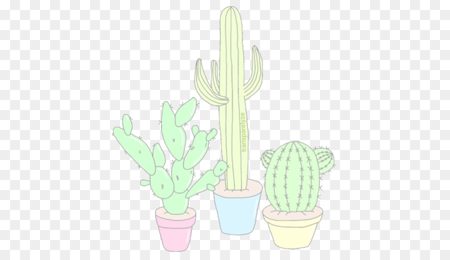 Cactaceae Disegno su Carta pianta Succulenta - cactus
