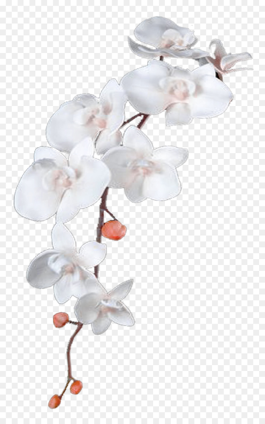 Blume DeviantArt Heavenly Healing Hands - weiße Blüten