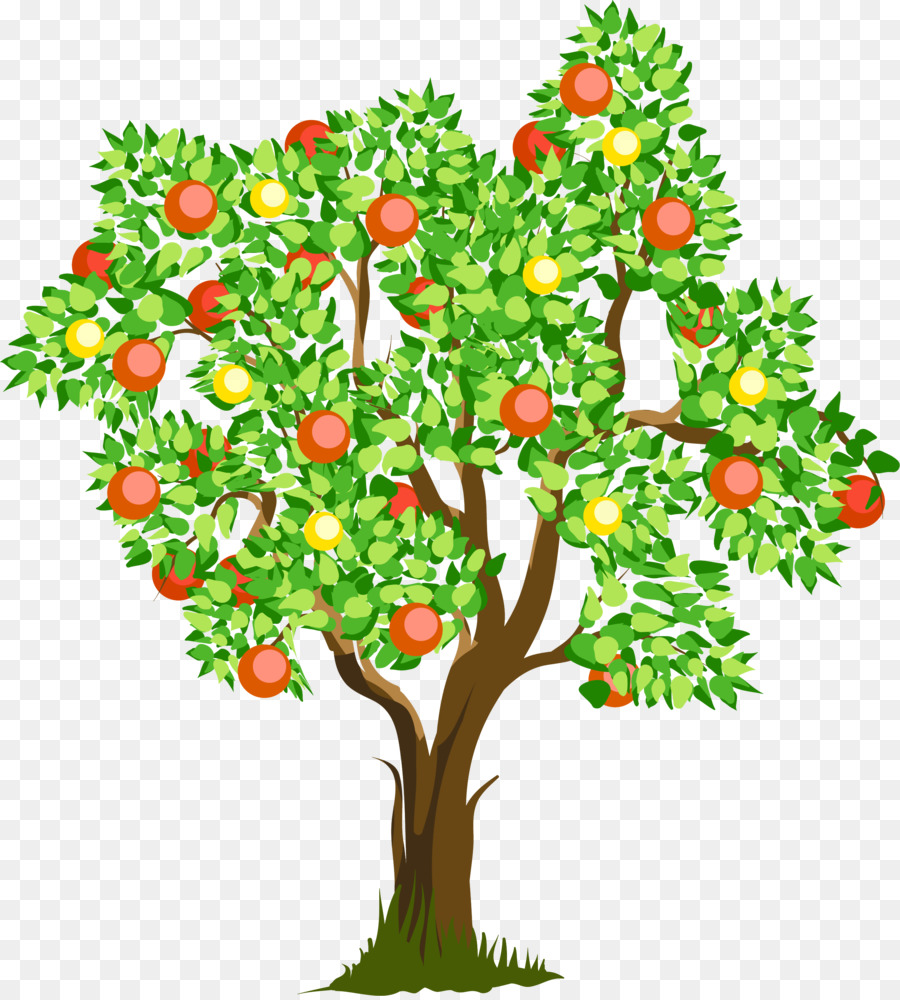 La Terapia occupazionale Educazione elaborazione Sensoriale Nazionale Scuola Primaria - albero di arancio