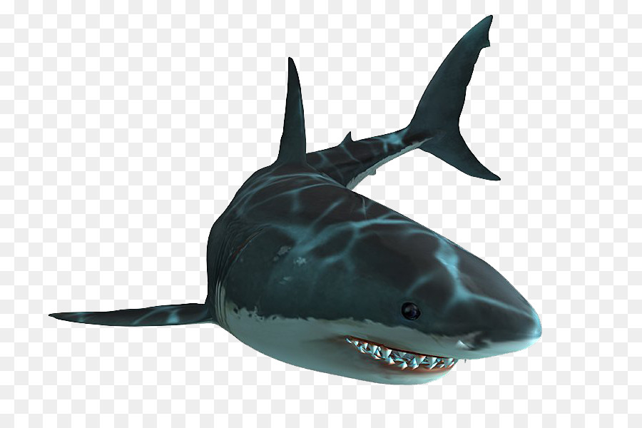 Jaws Unleashed Hai-Kiefer PlayStation 2-Great white shark - Haie