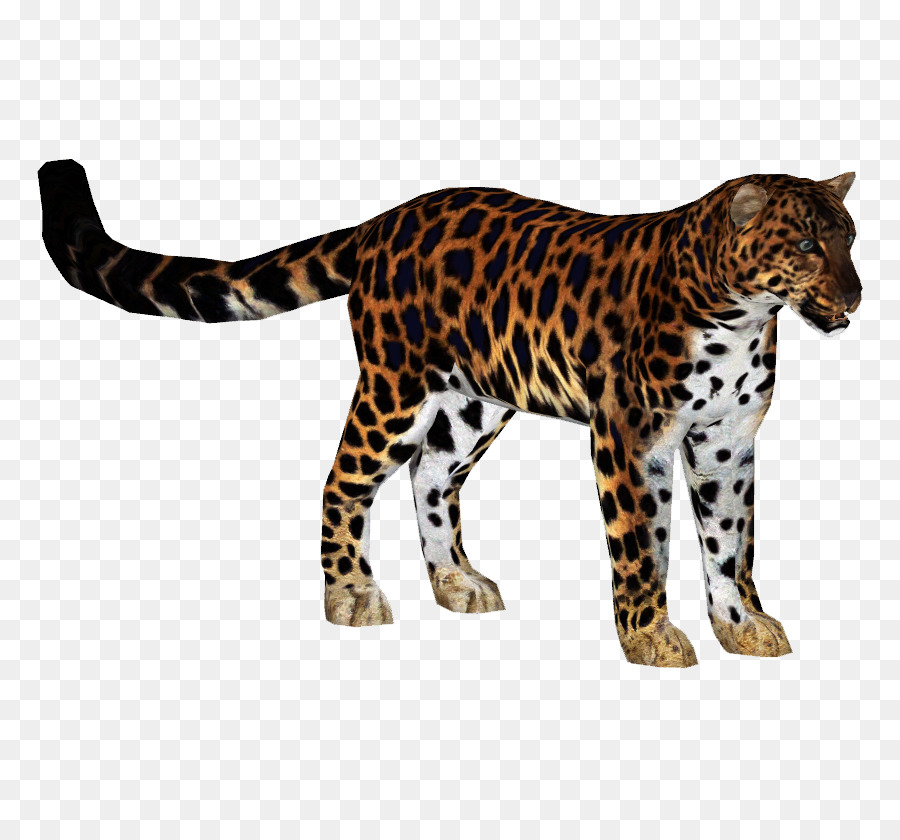 Zoo Tycoon 2 Jaguar-Tiger, Amur-leopard Felidae - Leopard