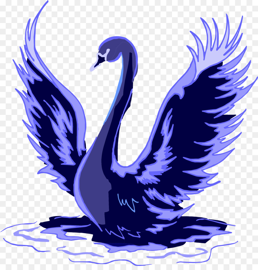 Black swan der Trompeter Schwan Vogel clipart - Schwan