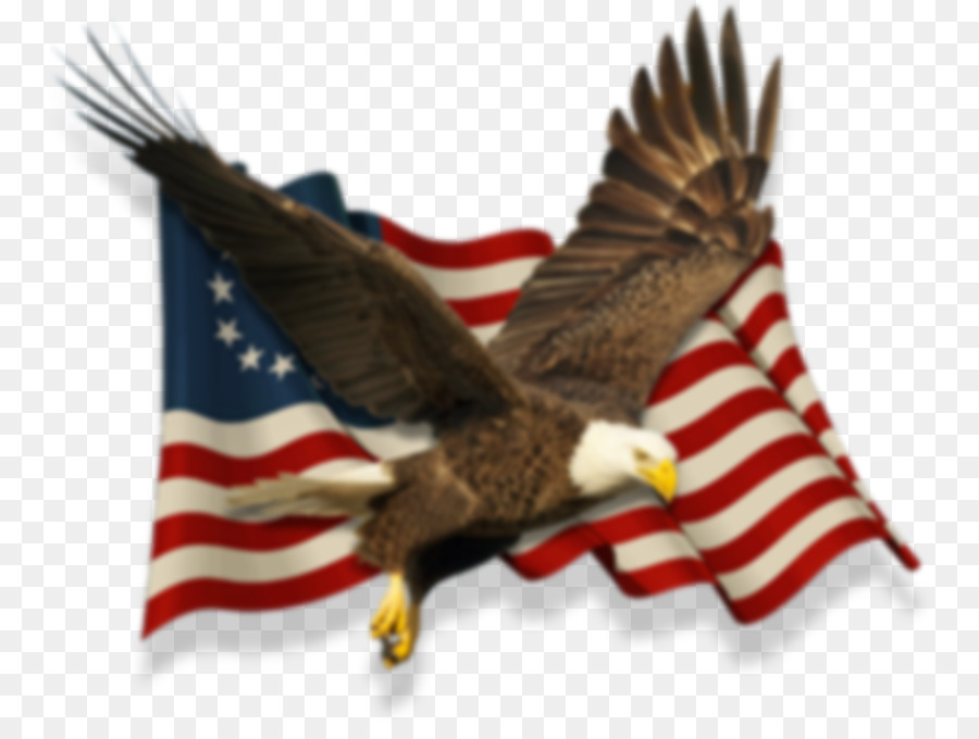 Eagle Flagge der Vereinigten Staaten Dreizehn Kolonien, die Betsy Ross flag - Adler