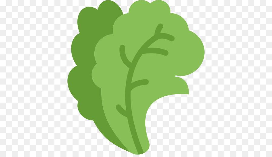 Bio Lebensmittel, Vegetarische Küche, Computer Icons Gemüse - kopfsalat
