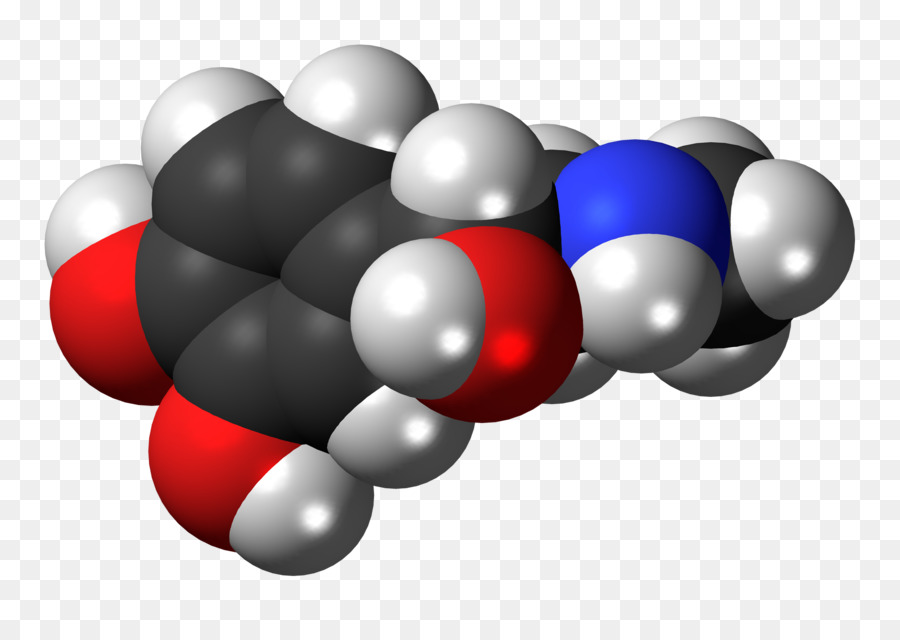 Noradrenalin Adrenalin Hormon der Nebenniere - andere