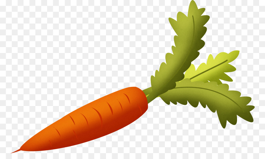 Karotte Gemüse clipart - Karotte