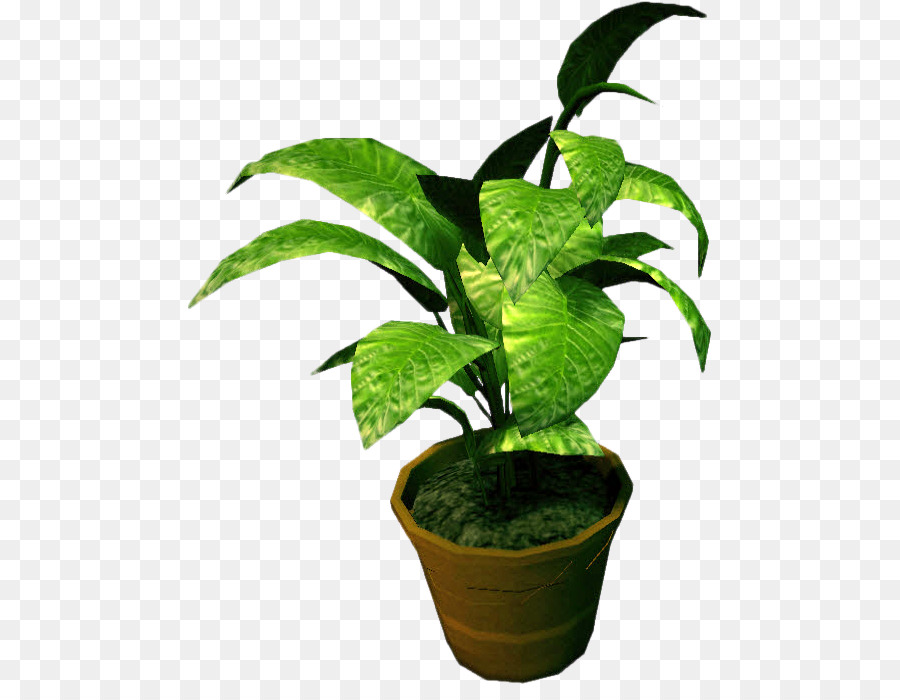 Potted Plant Background