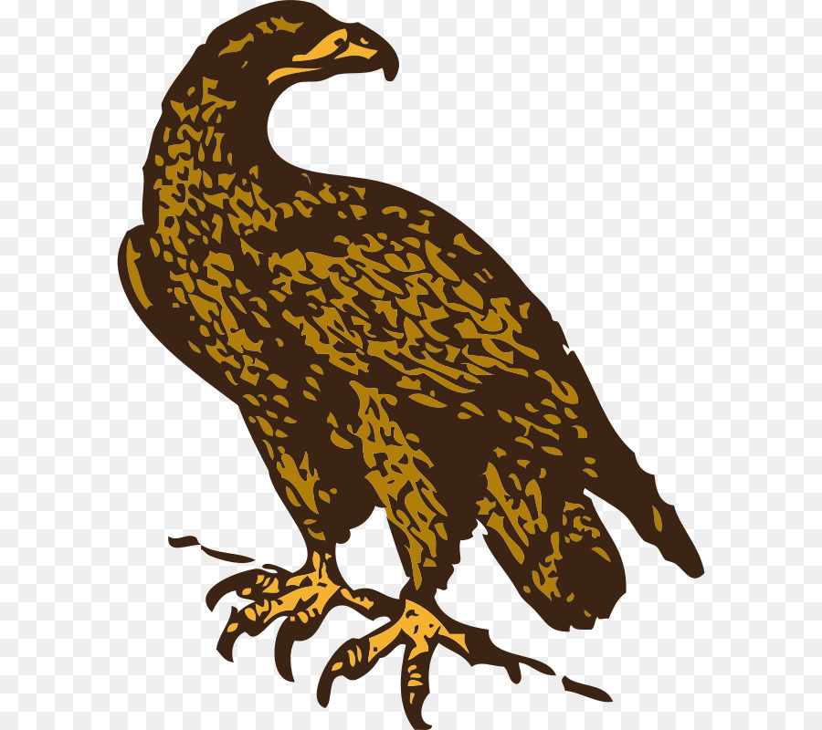 Bald Eagle Golden eagle clipart - Adler