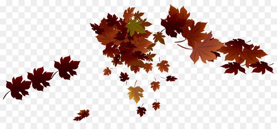 Foglia di acero, foglia d'Autunno di colore - foglie di autunno
