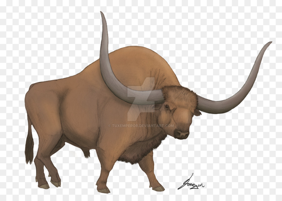 Bison latifrons Rinder American bison Horn Tieres - Bison