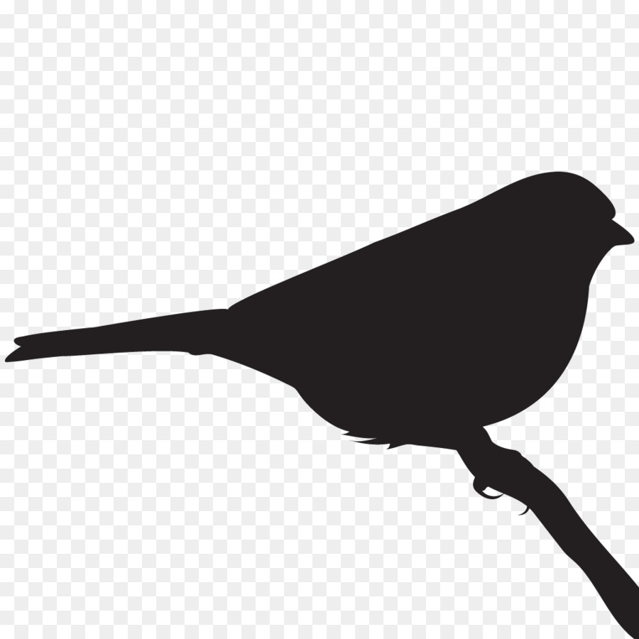 Vogel Schwarz und weiß Monochrom-Fotografie Schnabel - Spatz