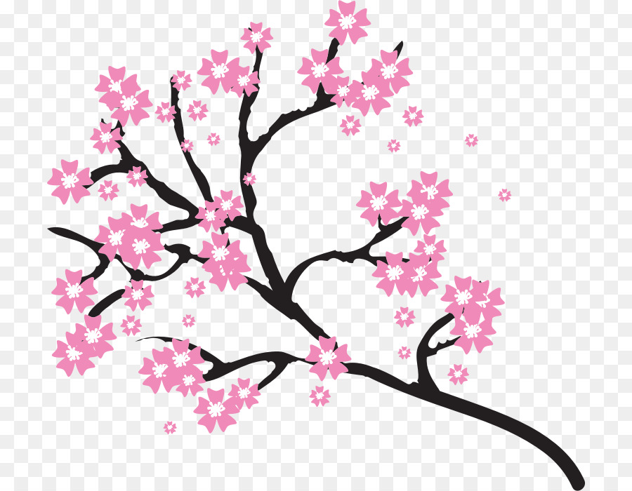 Cherry blossom Disegno Clip art - fiore