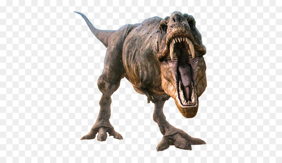 Tyrannosaurus Dinosauro Velociraptor - animali