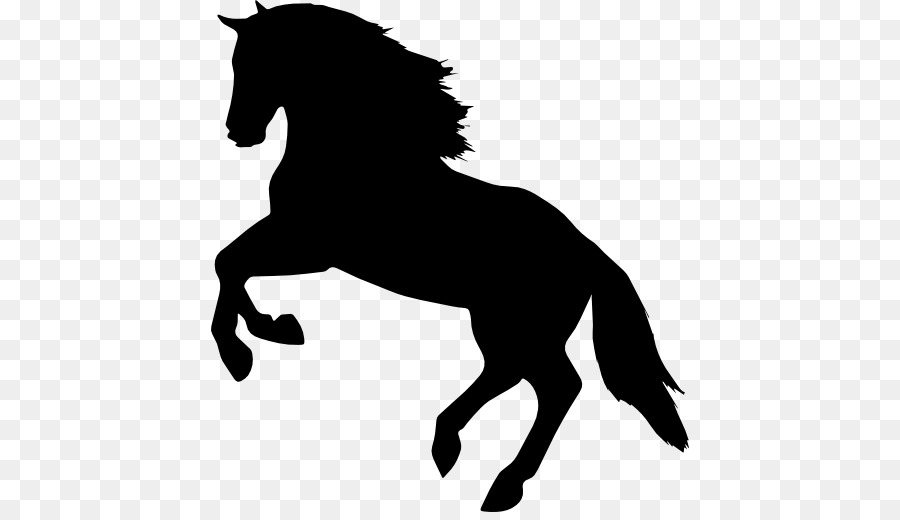Ngựa Con Ngựa Cưỡi Ngựa Nhảy Máy Tính Biểu Tượng - Con ngựa
