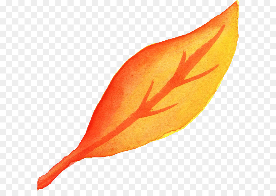 Blatt Aquarell-Malerei Orange-Gelb - Aquarell Blätter