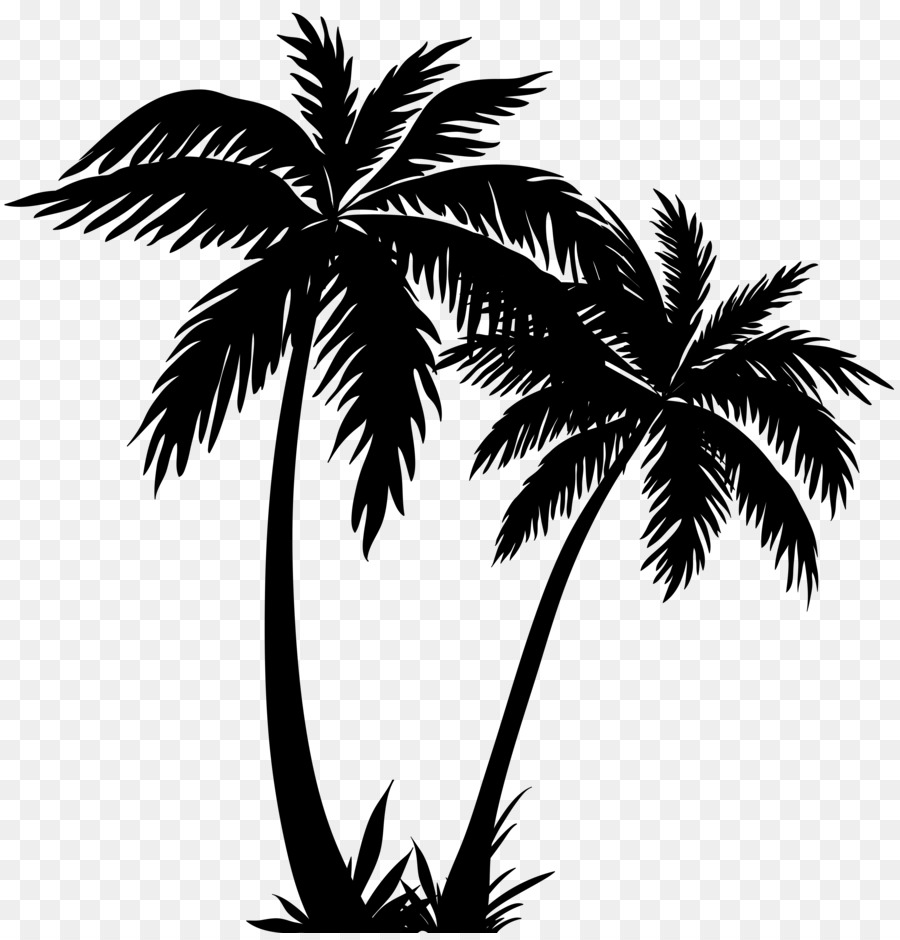 Arecaceae Silhouette Clip art - albero di palma