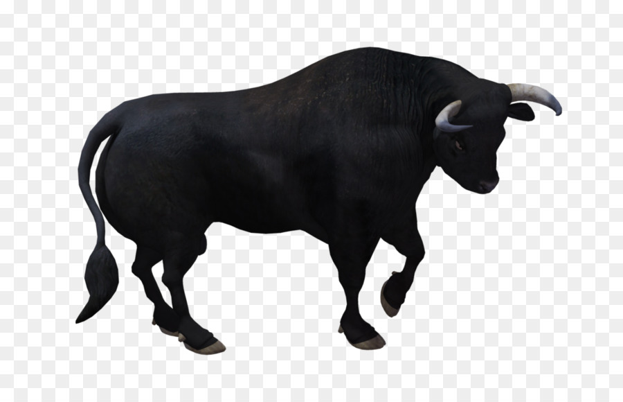 Bull Wildlife