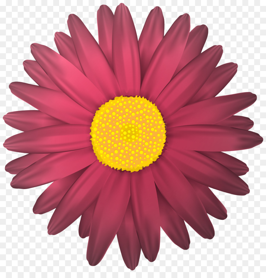 Hoa Clip nghệ thuật - hoa cúc