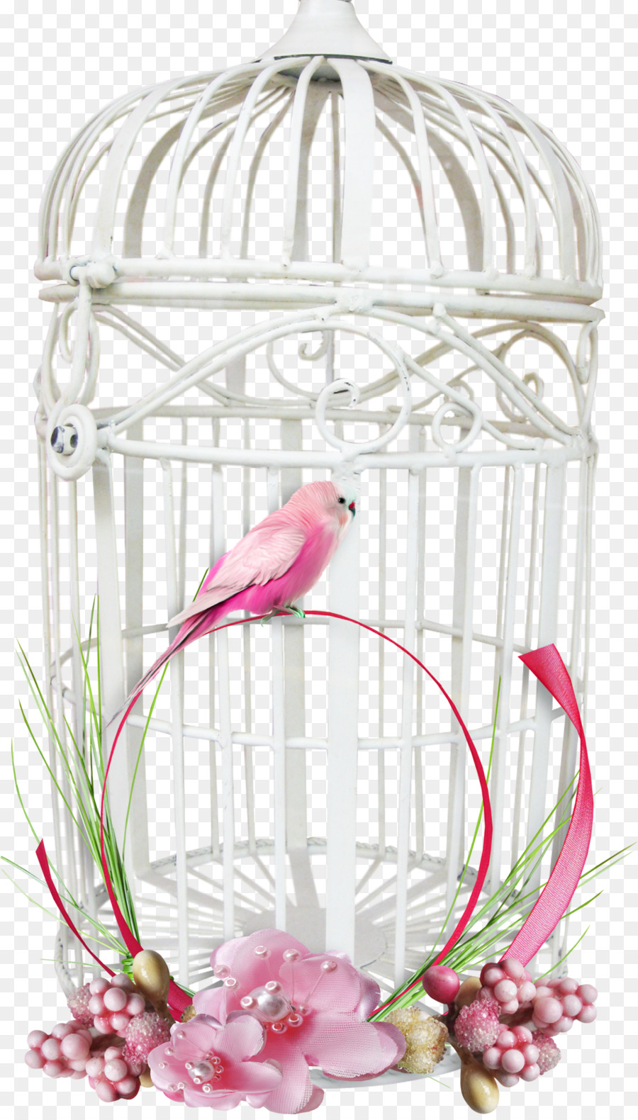 Vogel Parrot Cage - Vogelkäfig