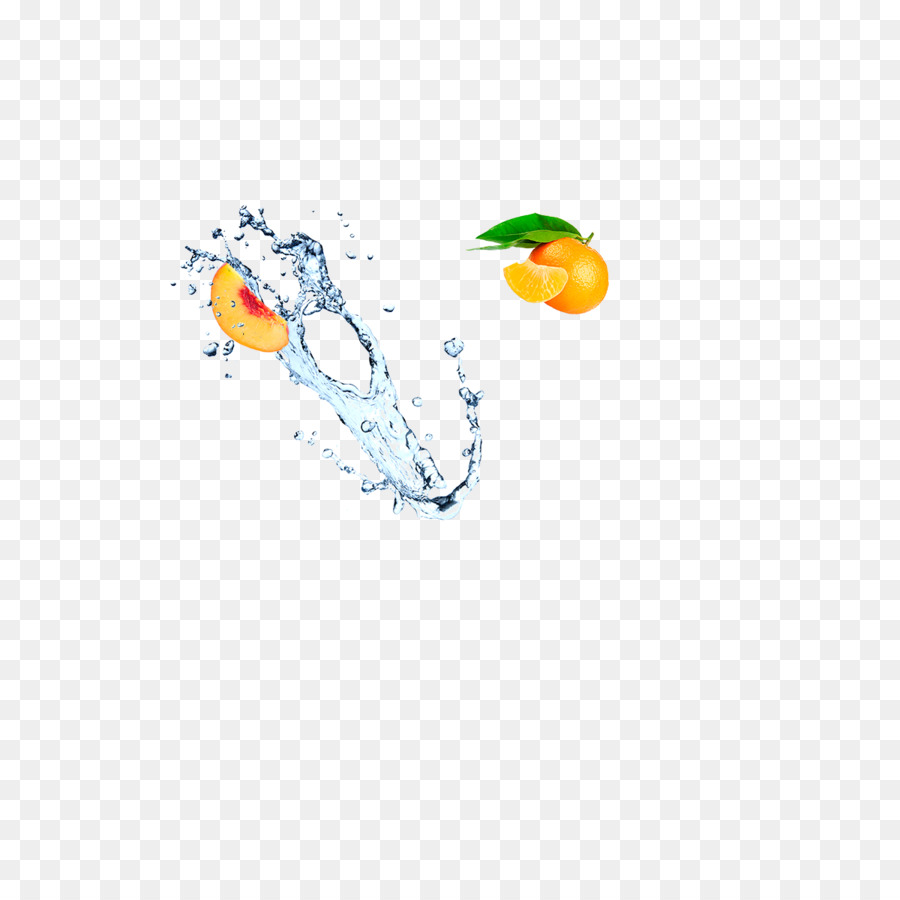 Vogel Desktop Wallpaper Water Font - Soda