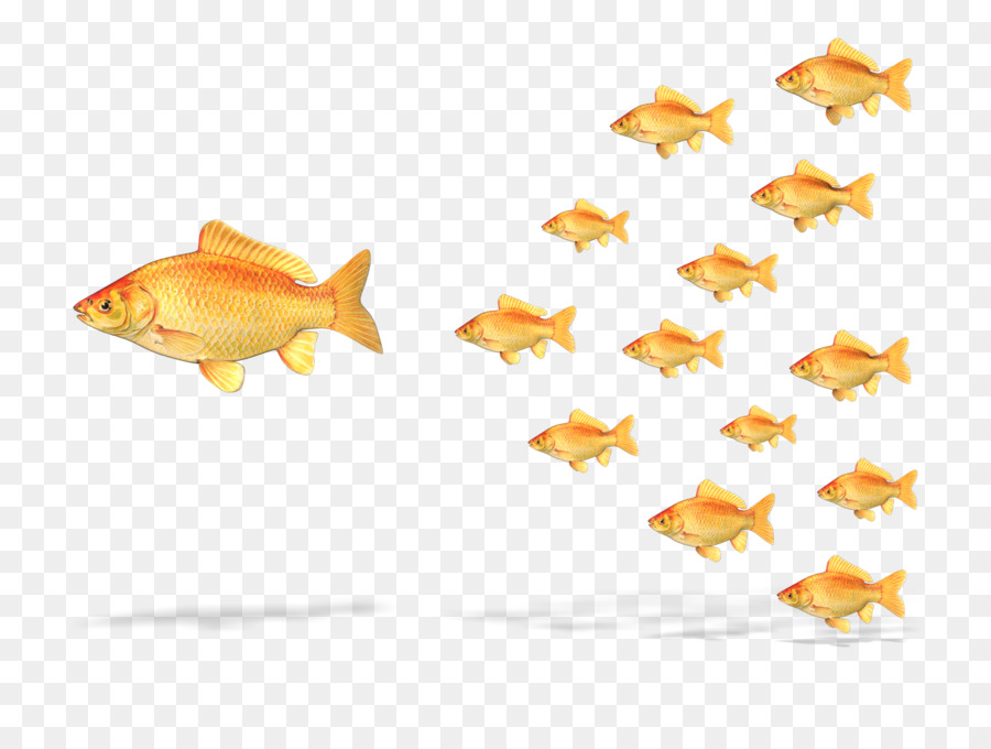 Führungskompetenzen Projekt Clip-art - Goldfisch
