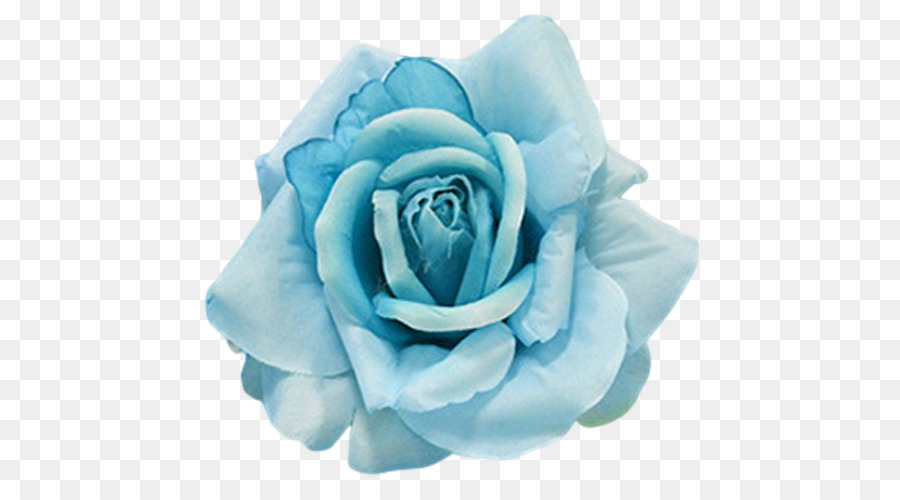 Giardino fiorito di rose Blu Aqua - i fiori di menta