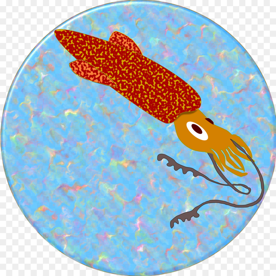 Calamari Metafile di Windows Encapsulated PostScript Clip art - calamari