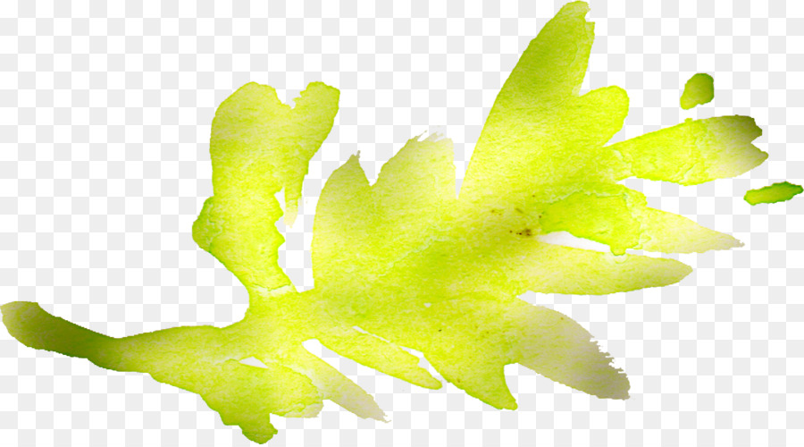 Foglia staminali Vegetali di Sfondo per il Desktop Giallo - acquerello fiori
