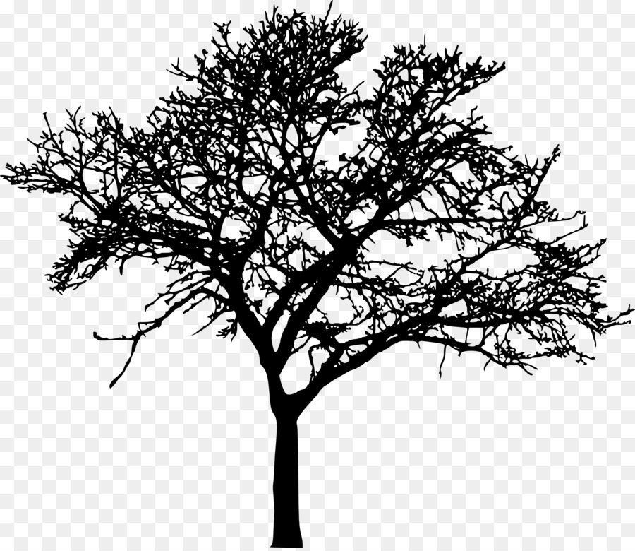 Baum-Silhouette, die Zeichnung Branch clipart - Baum Vektor