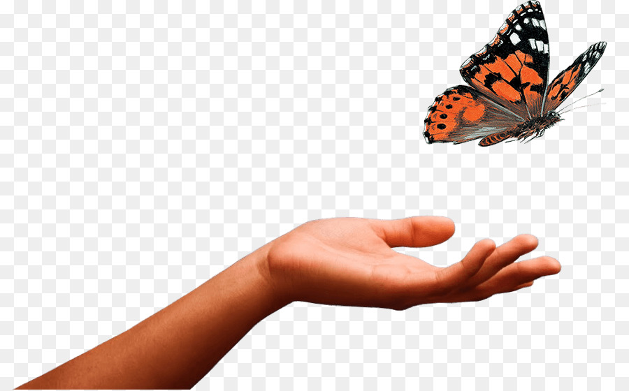 Schmetterling Gartenarbeit Texcoco-Insekten-Monarchfalter - handbemalt