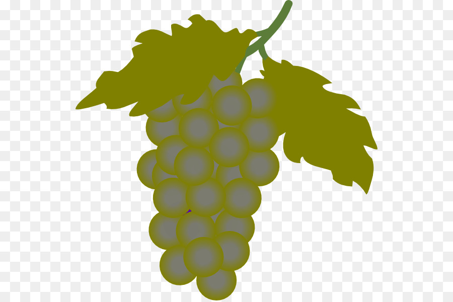 Vino Comune vino Clip art - uva
