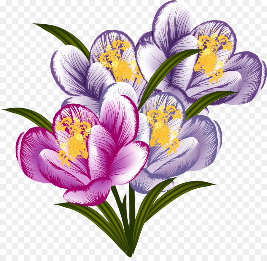 Blumen Lila Clip art - Krokus
