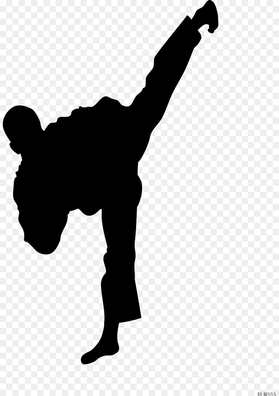 T-shirt Mondiale di Taekwondo, Campionati di arti Marziali Sport - lotta