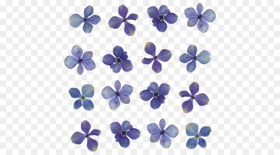 Gepresste Blumen-Handwerk-Licht Floral design - Blaue Blumen