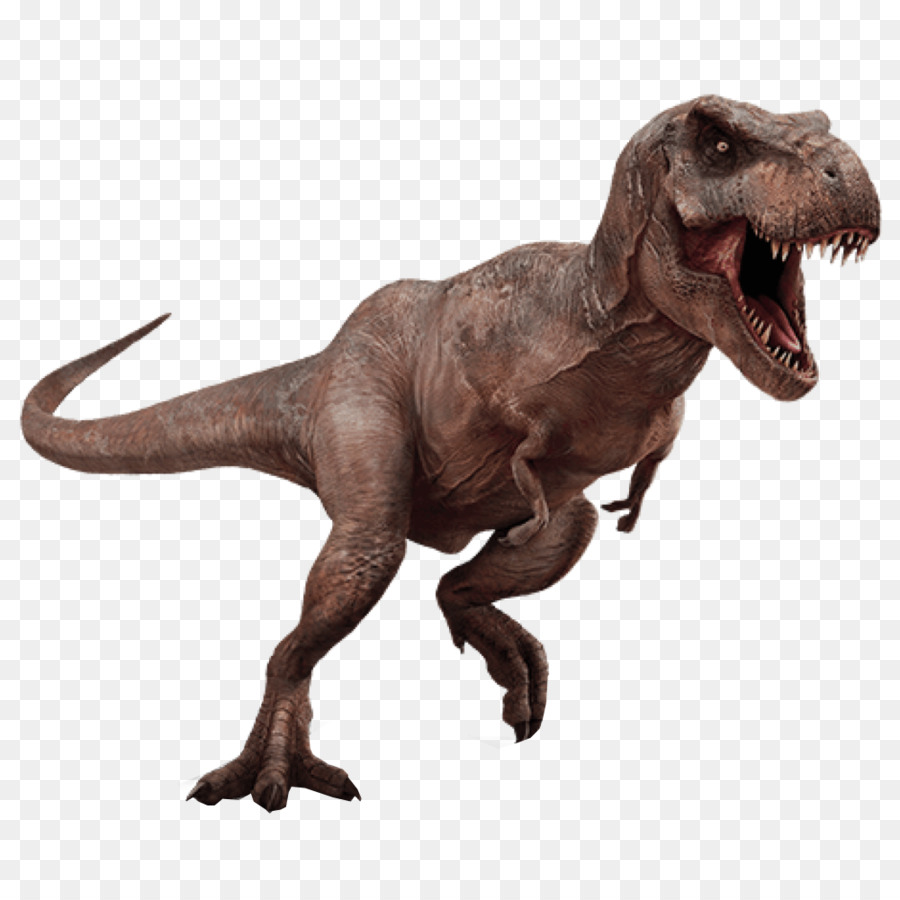 Con Khủng Long Tyrannosaurus Aucasaurus Khủng Long - Khủng long
