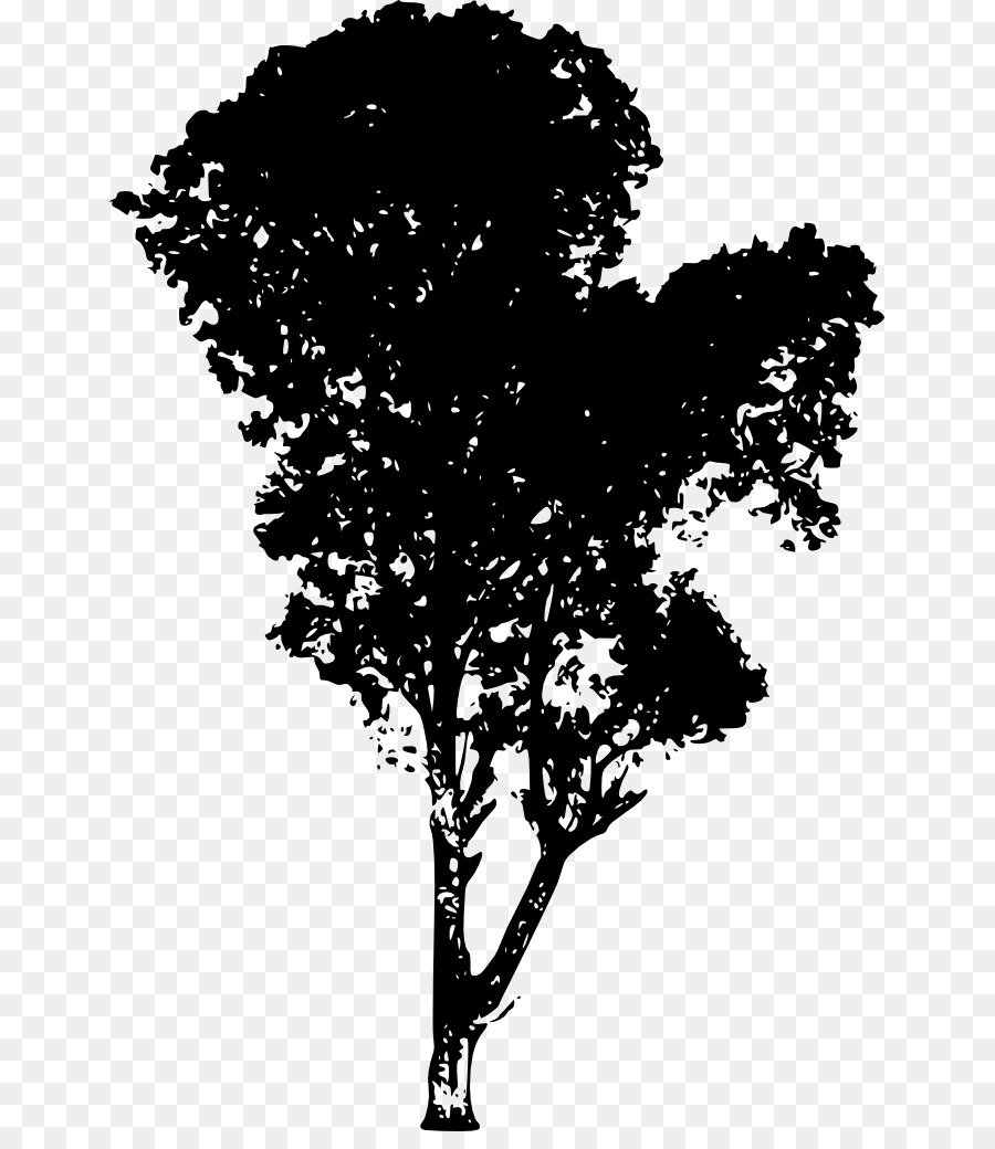 Silhouette Eines Baumes Zweig Desktop Wallpaper - Baum Vektor