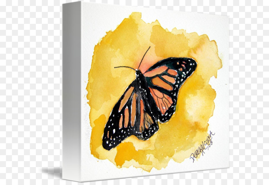 Vua bướm Màu nước sơn Vẽ - màu nước bướm