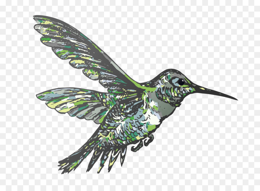 Hummingbird clipart - Kolibri
