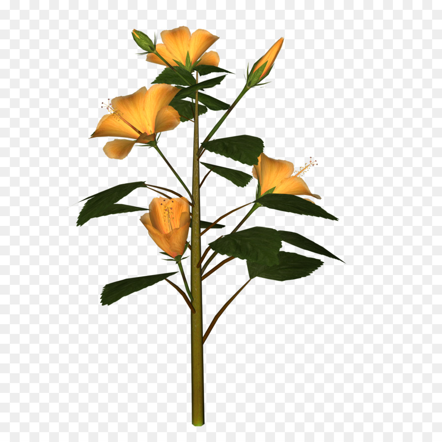 Cắt hoa gốc Thực vật chi Nhánh Bud - Bụt