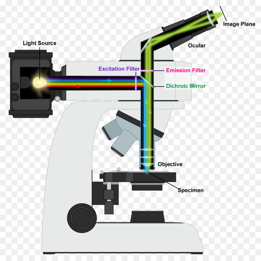 Microscope Cartoon img