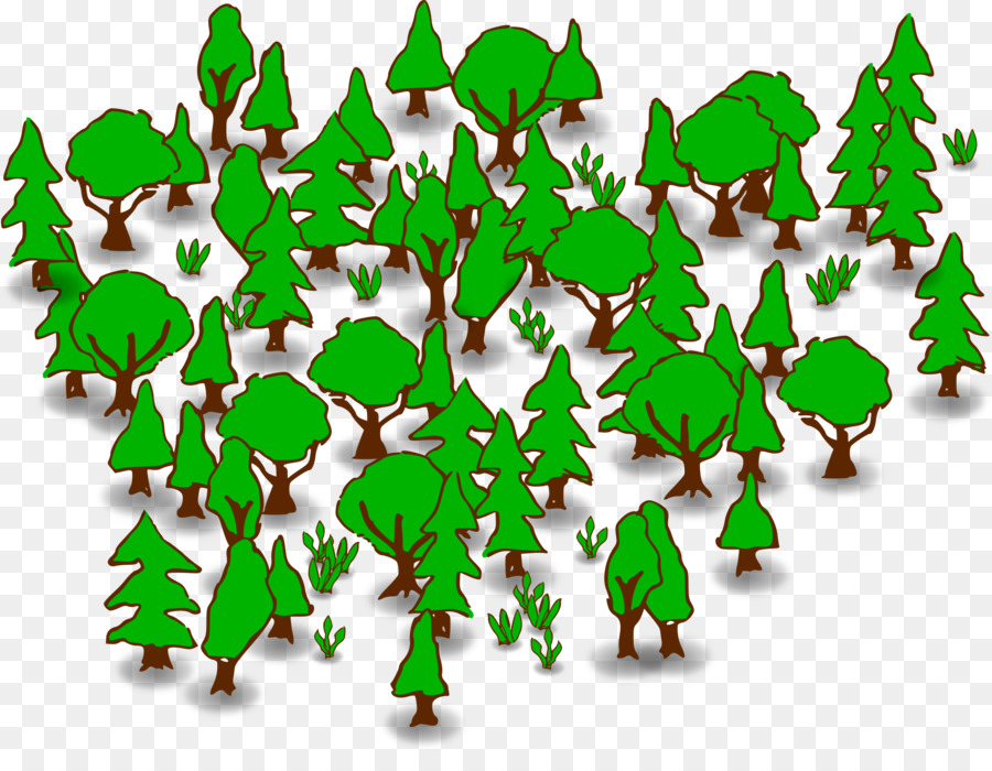 Random forest Ensemble Macchina di apprendimento di apprendimento albero di Decisione Algoritmo di apprendimento - Forrest