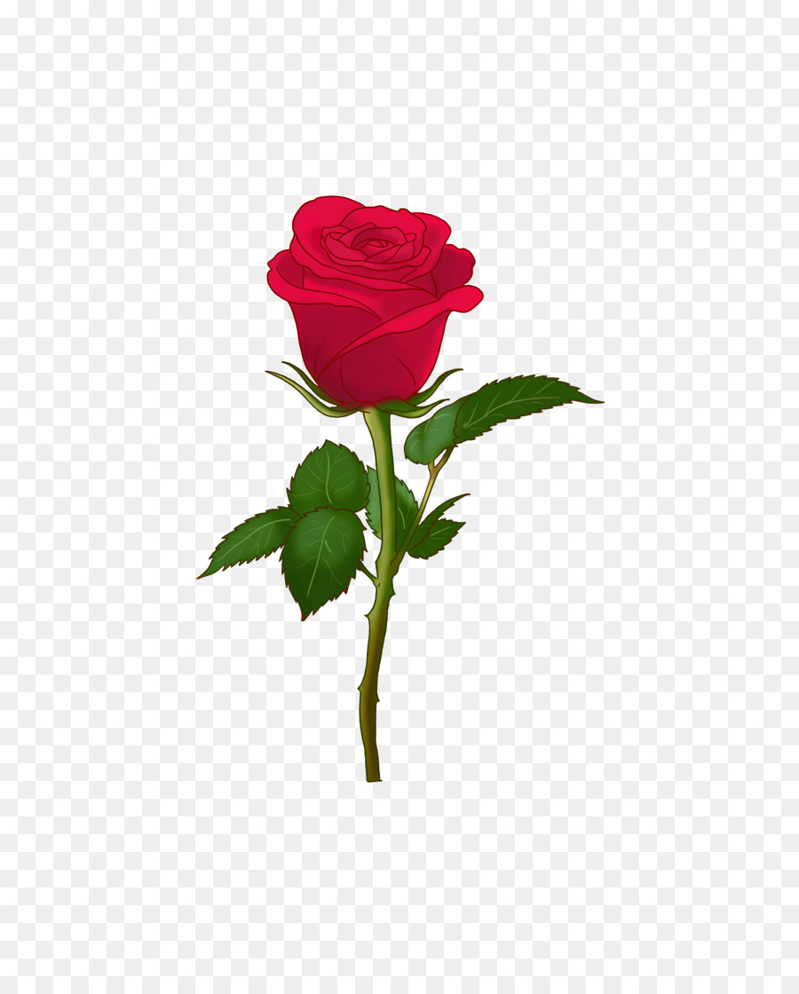 Rose Centifolia Arte Emoji Giardino di rose Soch Na Amor-Sab Tera - primavera in avanti