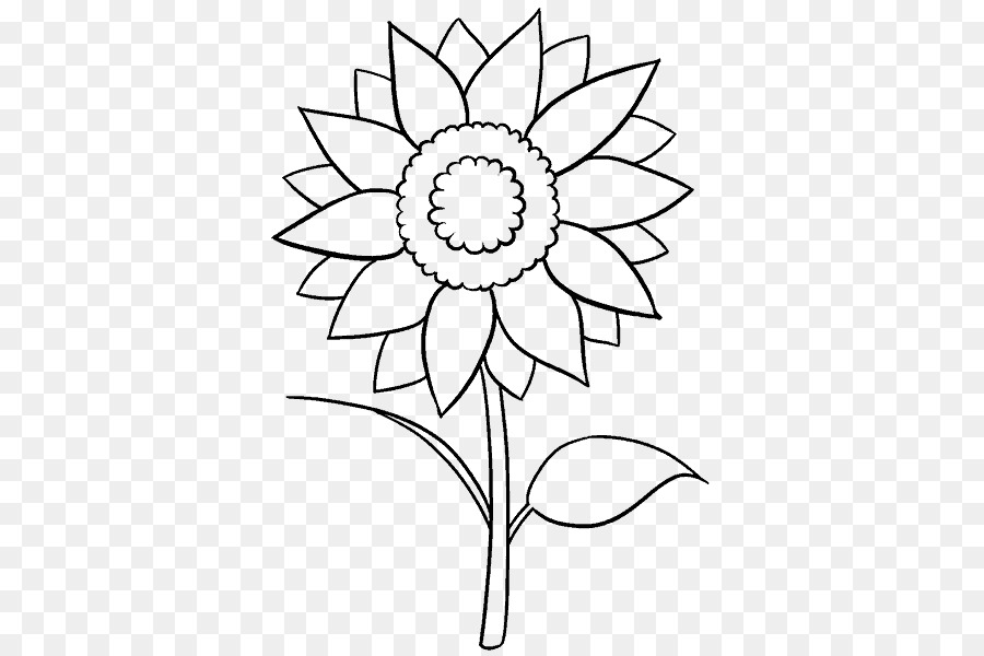 Zeichnung Common sunflower-Skizze - ziehen