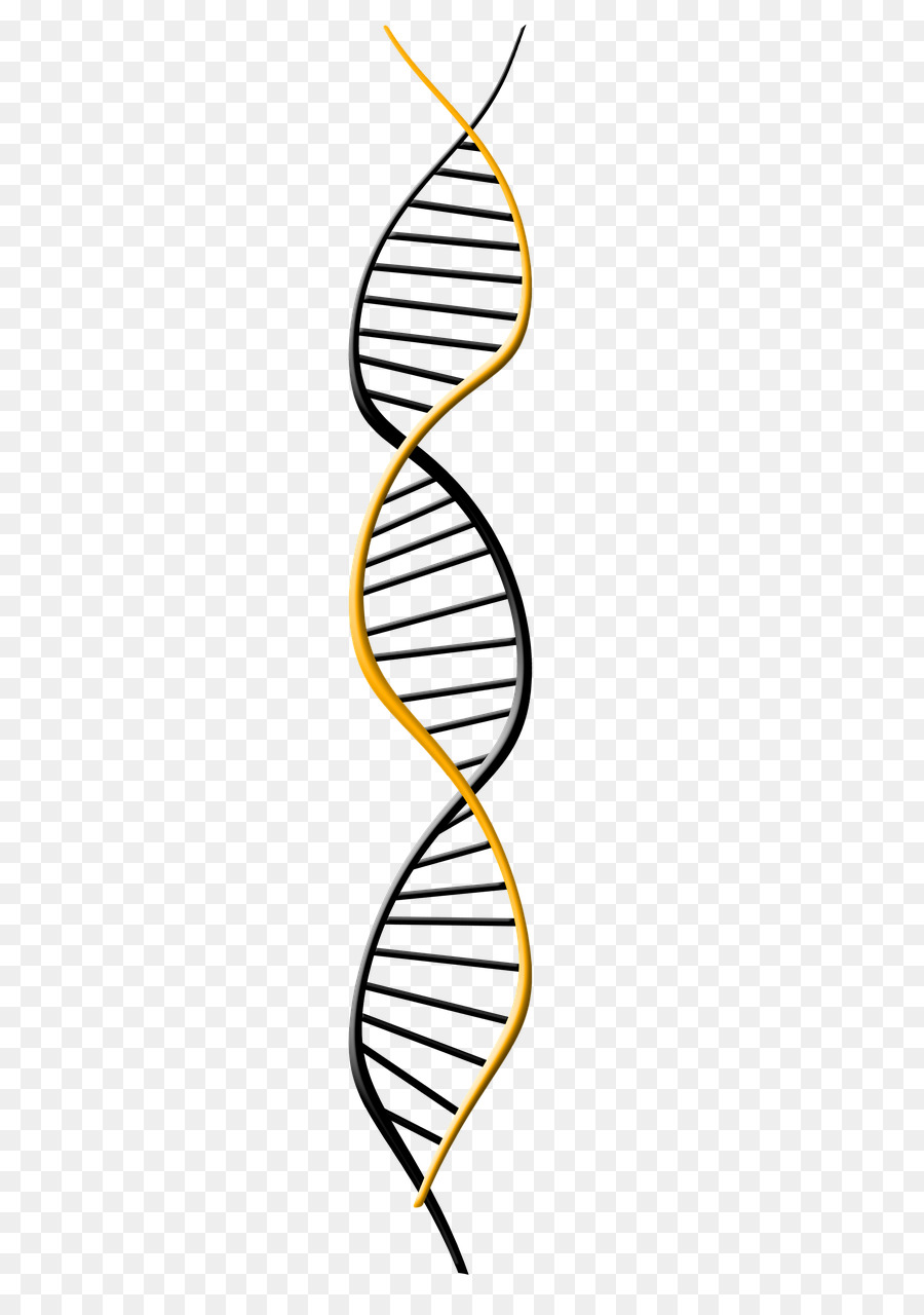 Genetica per l'estrazione di DNA del Genoma - dna