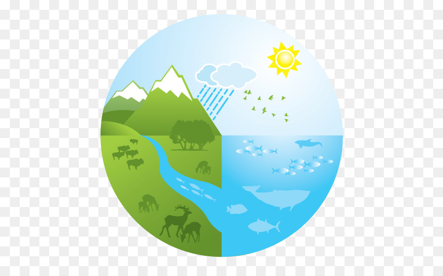 Aquatische ökosystem Logo Zeichnen - Dokument