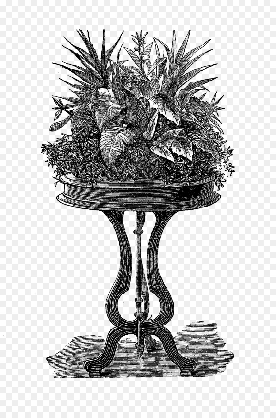 Nell'epoca vittoriana, Houseplant - pianta in vaso