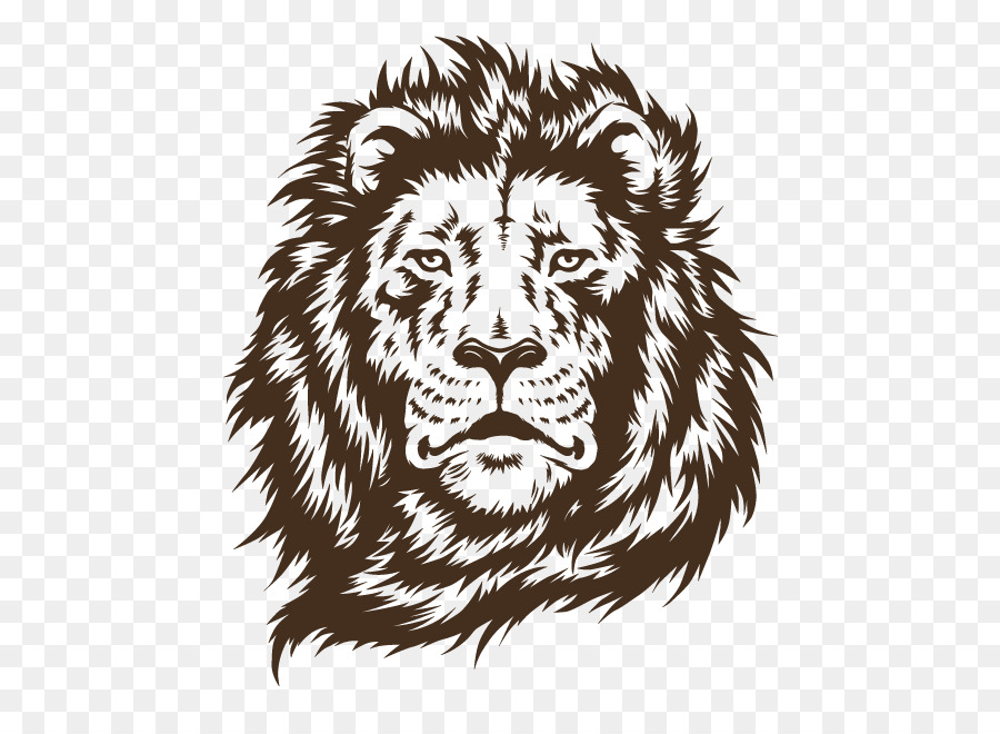 Con sư tử Giấy Amazon.com Dán Tường - sư tử mặt
