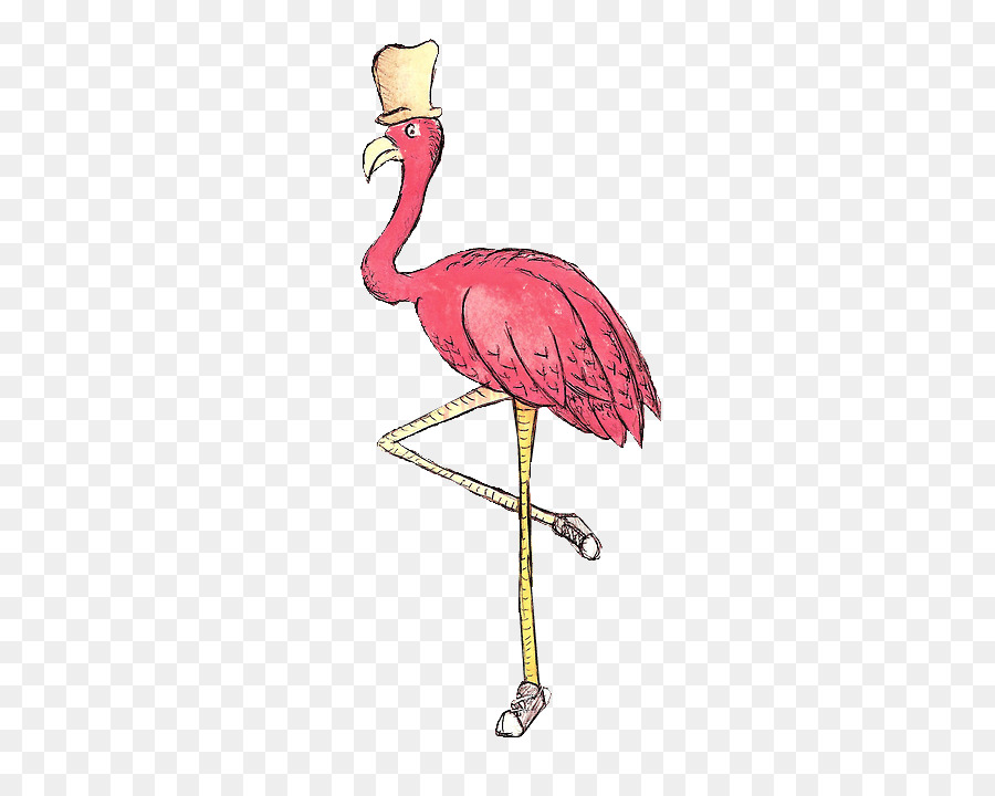 Vogel - Flamingos