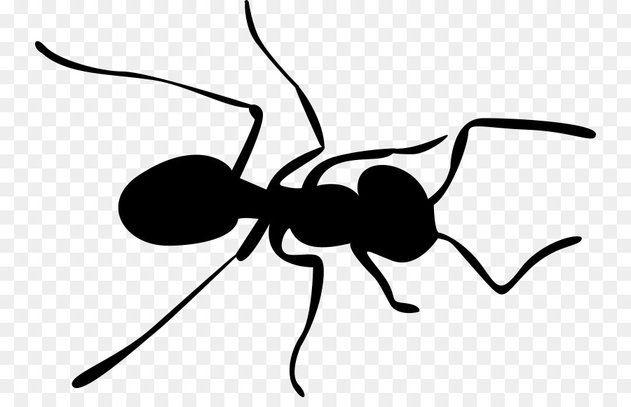 Ameise, Insekt Biene clipart - Ameisen