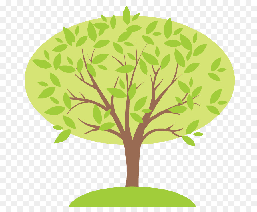 Il Vostro Albero Di Famiglia Genealogia Antenato - albero genealogico